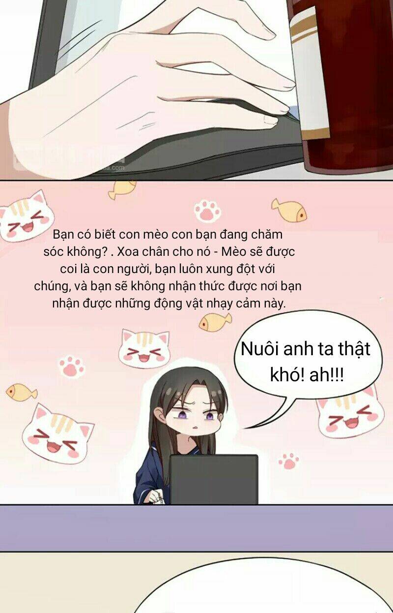 Bạn trai mèo - Chapter 8 - Page 5