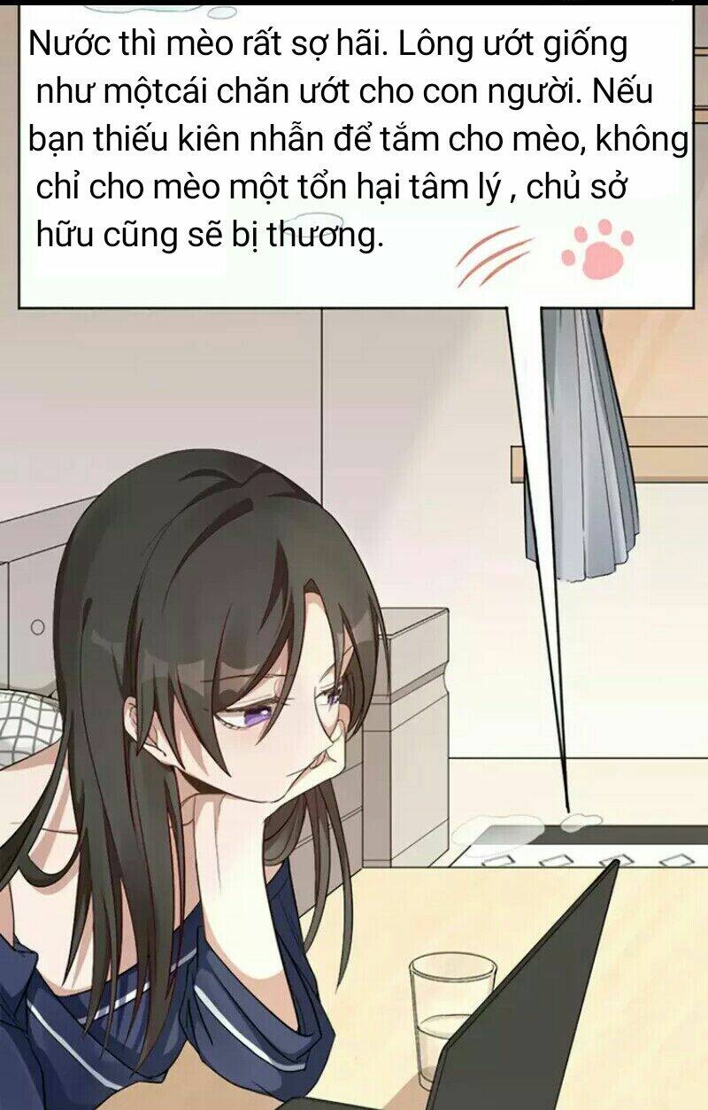 Bạn trai mèo - Chapter 8 - Page 7