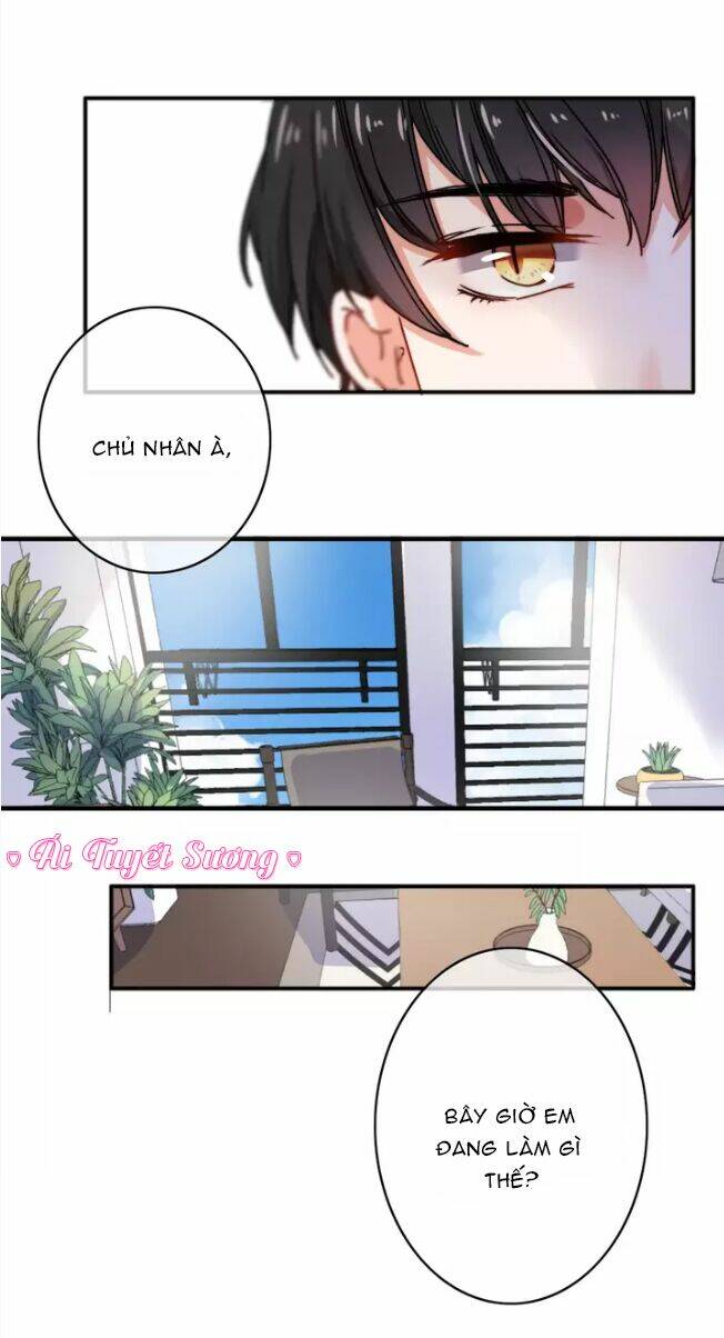 Thập Quang Mật Ngữ - Chapter 13 - Page 15