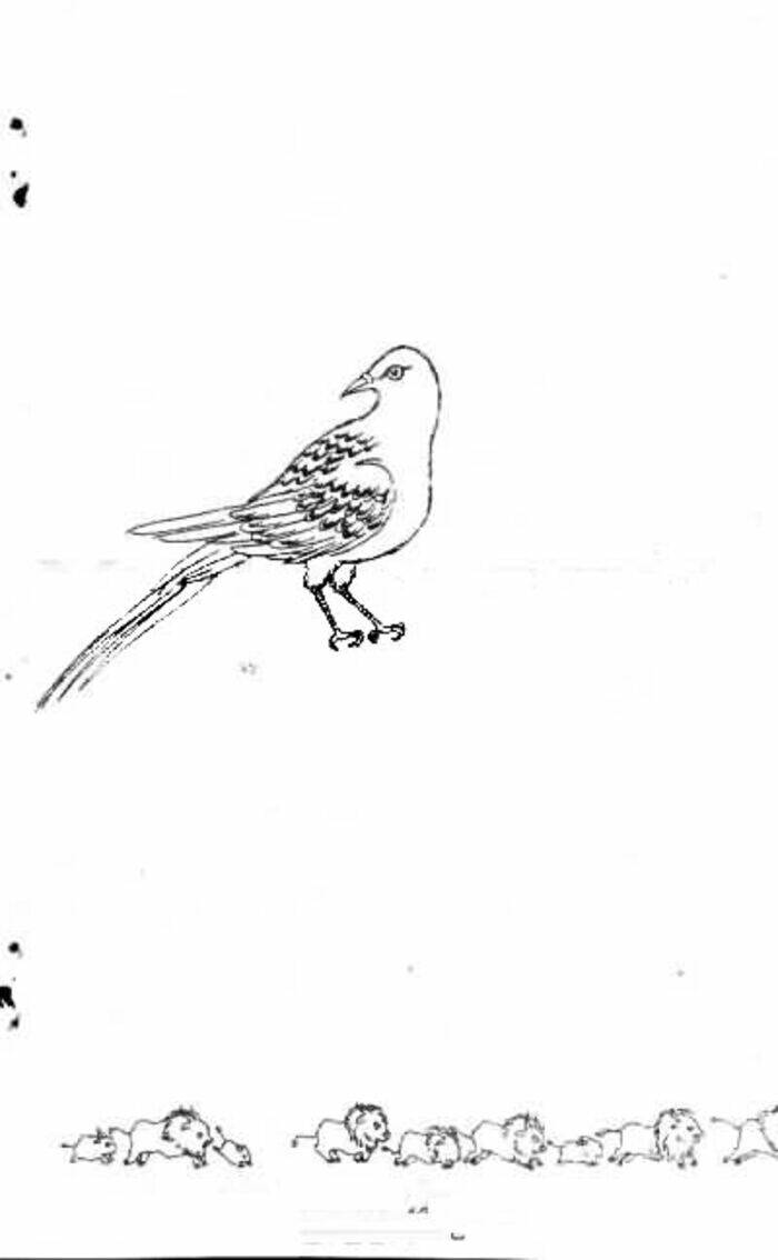 Tiệm Thú Kiểng - Chapter 38 - Page 50