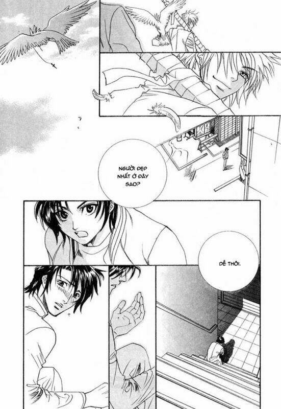 Innocent Bird - Chapter 13 - Page 46