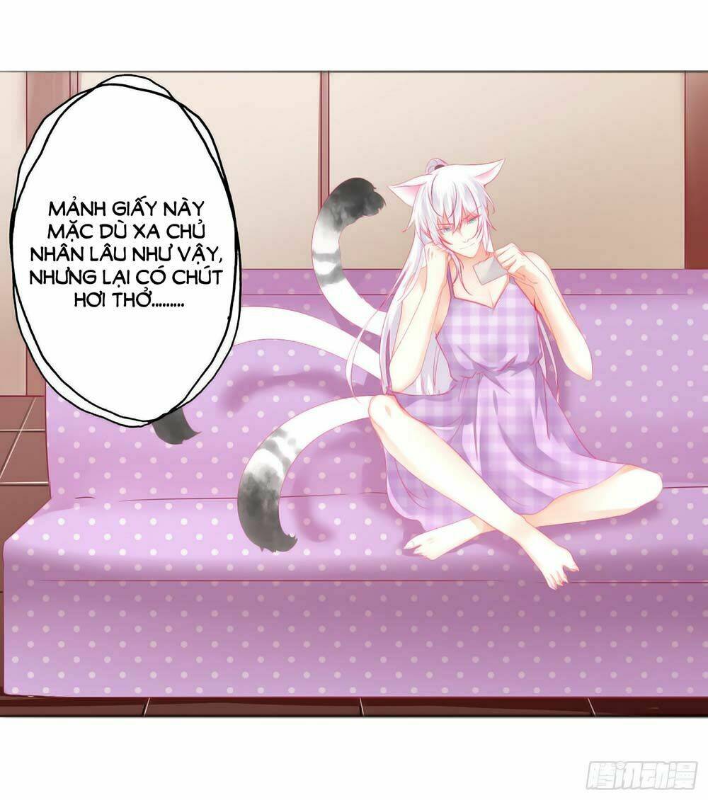 HELLO Miêu Tiên Sinh - Chapter 5 - Page 12