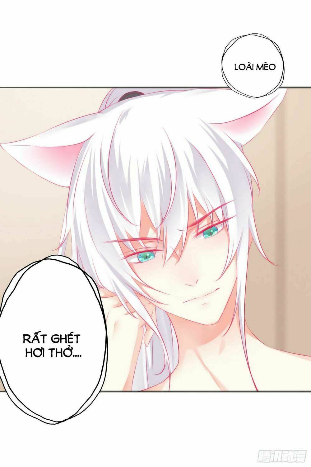 HELLO Miêu Tiên Sinh - Chapter 5 - Page 13