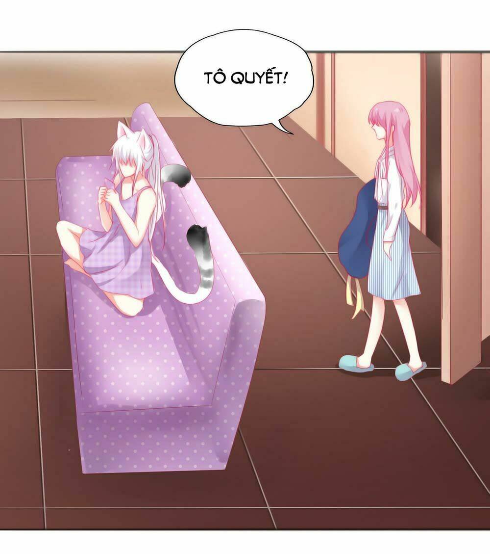 HELLO Miêu Tiên Sinh - Chapter 5 - Page 14