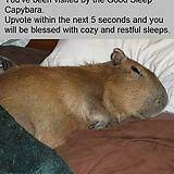 Đã Lâu Không Gặp - Chapter 56 - Page 14