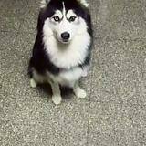 Đã Lâu Không Gặp - Chapter 56 - Page 19