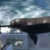 Đã Lâu Không Gặp - Chapter 56 - Page 21