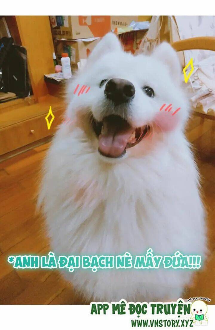 Huyết Tộc Đáng Yêu - Chapter 212 - Page 22