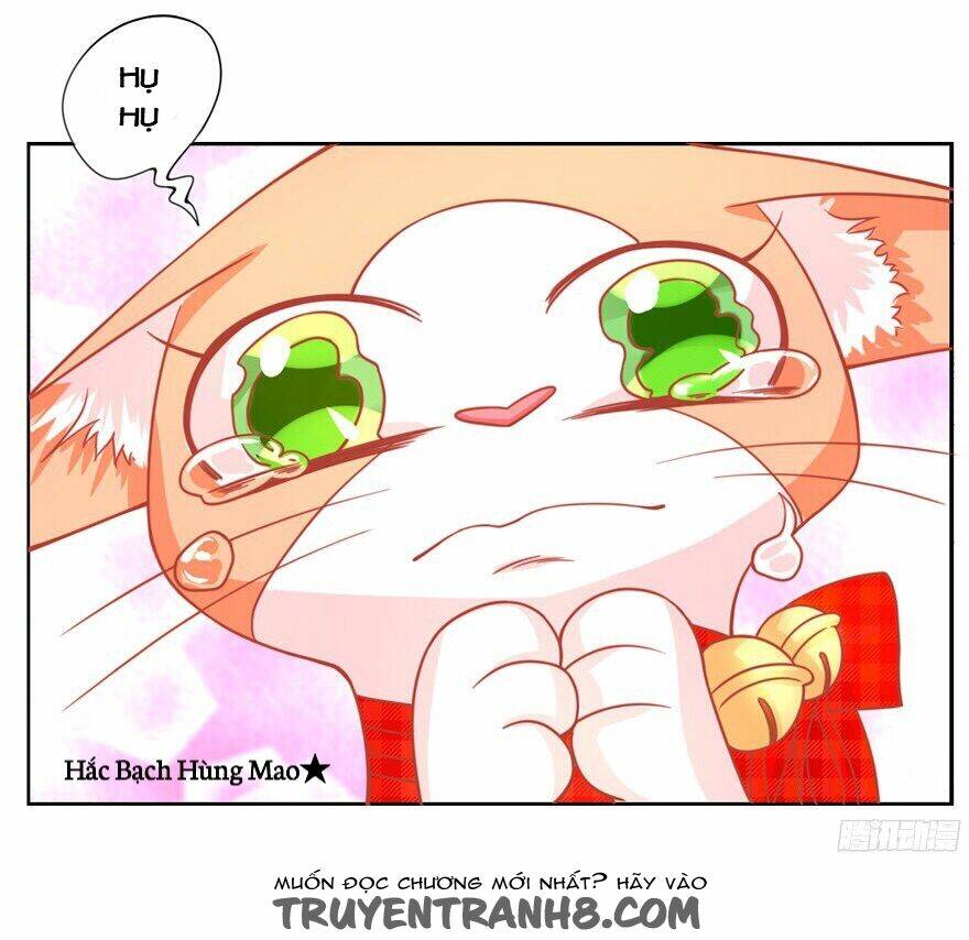 Chủ Nhân Là Ảnh Đế - Chapter 1.3 - Page 11