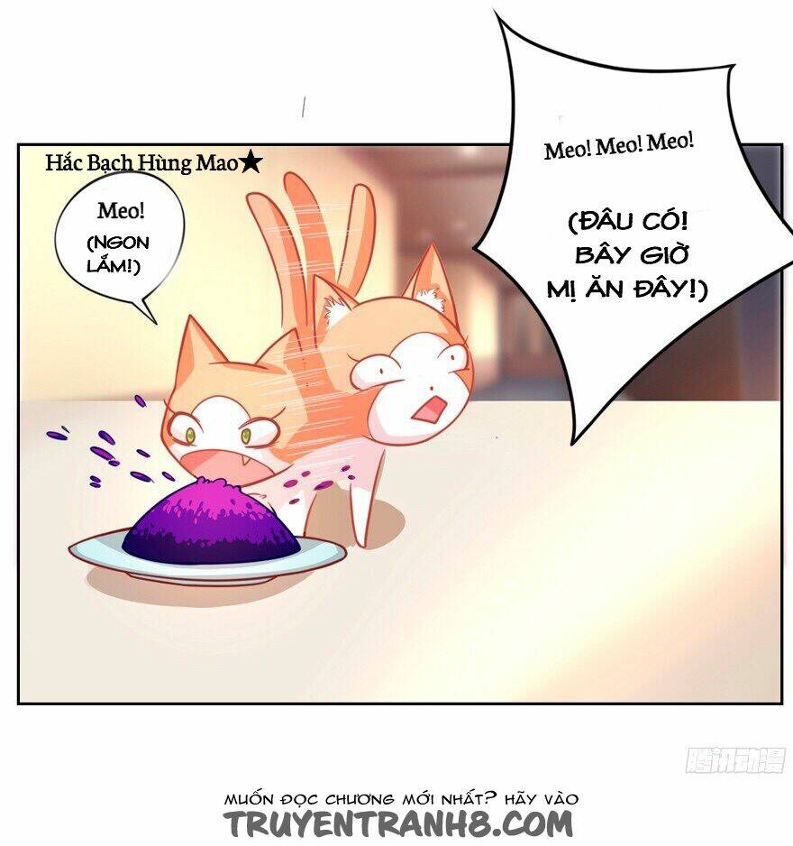 Chủ Nhân Là Ảnh Đế - Chapter 1.3 - Page 13