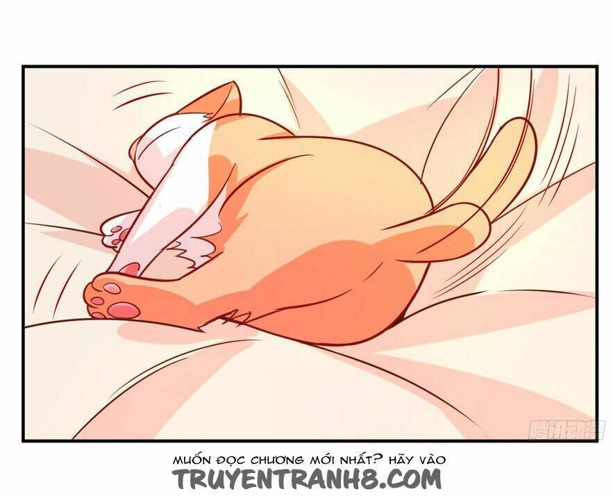 Chủ Nhân Là Ảnh Đế - Chapter 1.3 - Page 33