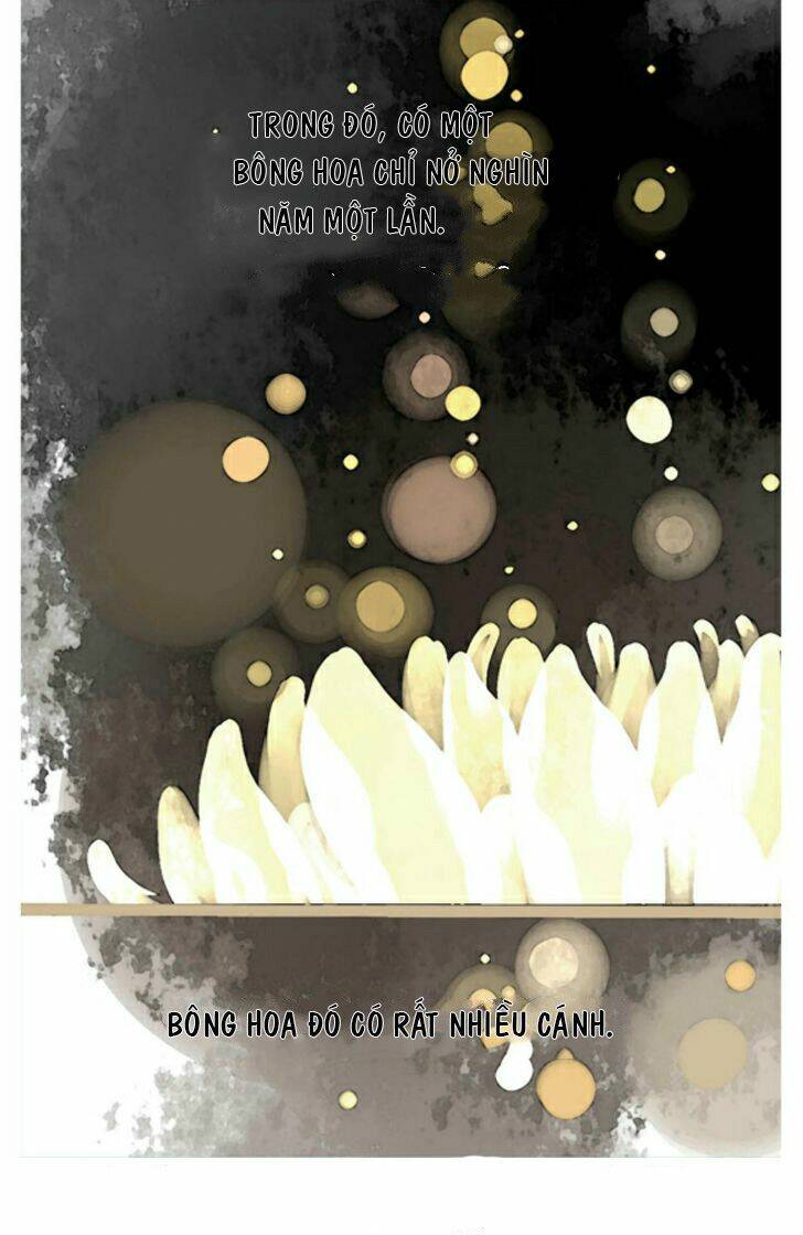 Một Ngàn Cánh Hoa - Chapter 2 - Page 9