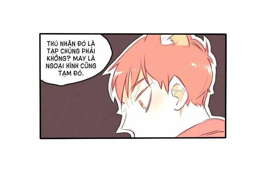 Cưới, Tôi Ư? - Chapter 29 - Page 17