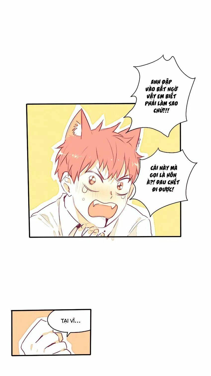 Cưới, Tôi Ư? - Chapter 29 - Page 6