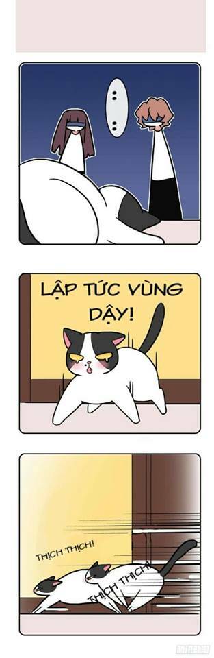 Hello Dư Tuyết Đặc - Chapter 2 - Page 9