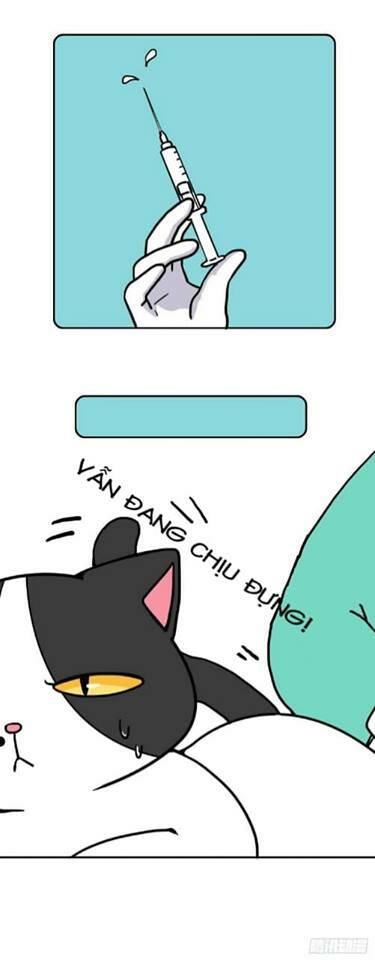 Hello Dư Tuyết Đặc - Chapter 2 - Page 3