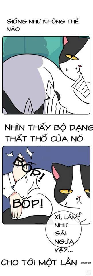 Hello Dư Tuyết Đặc - Chapter 2 - Page 4