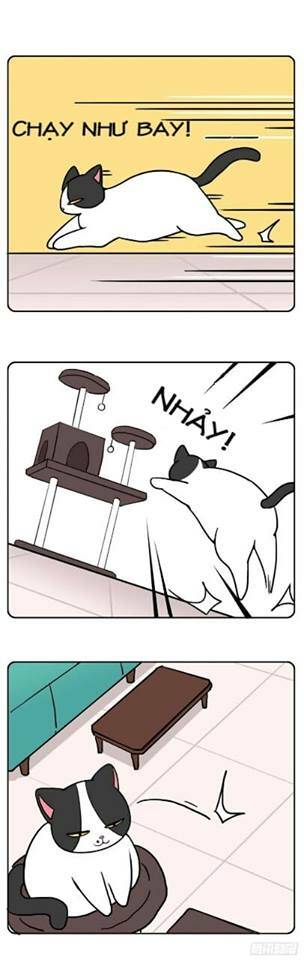 Hello Dư Tuyết Đặc - Chapter 2 - Page 5