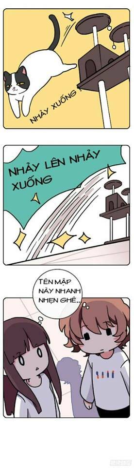 Hello Dư Tuyết Đặc - Chapter 2 - Page 6