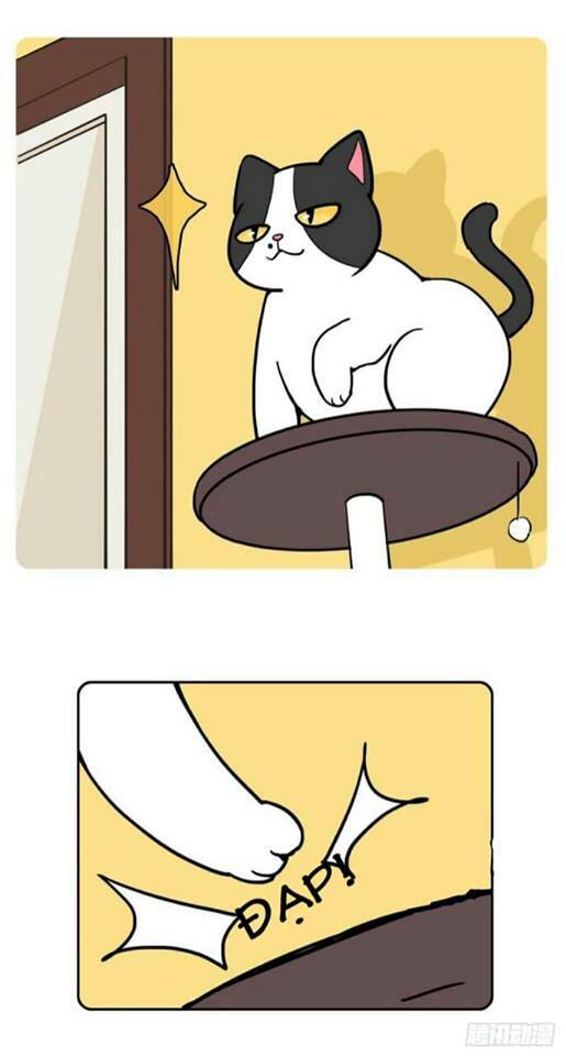 Hello Dư Tuyết Đặc - Chapter 2 - Page 7