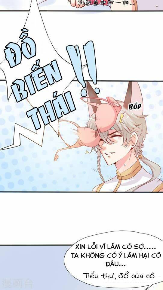 Nữ Chủ Là Nhân Vật Phản Diện - Chapter 3 - Page 13