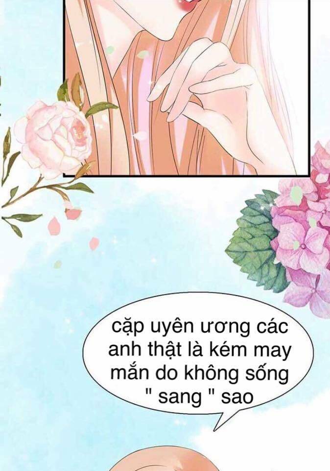 Châu Tiên Sinh, Ép Cưới Là Bất Hợp Pháp Đấy - Chapter 5 - Page 16