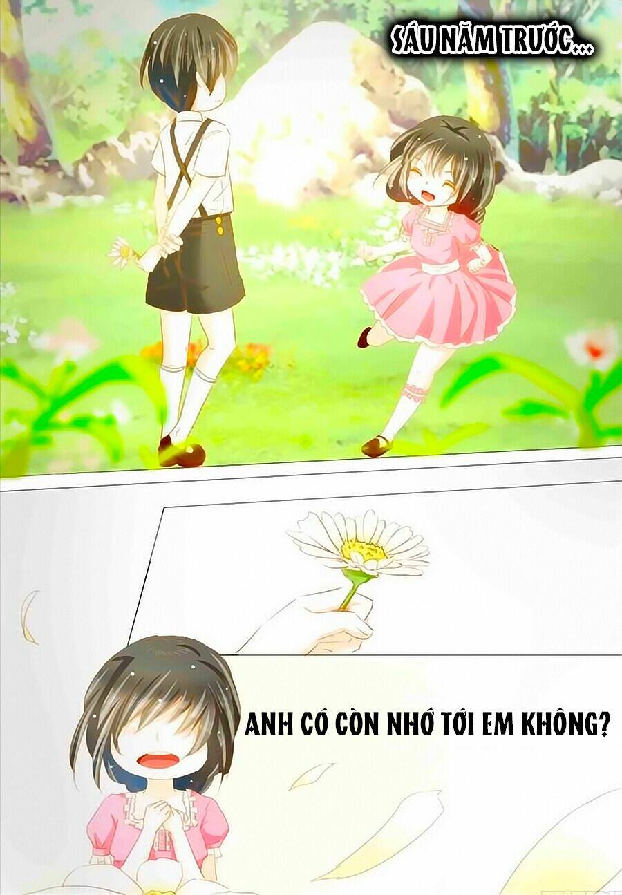 Quân Phiệt Bá Sủng: Thuần Tình Yêu Nữ Hỏa Lạt Lạt - Chapter 1 - Page 8