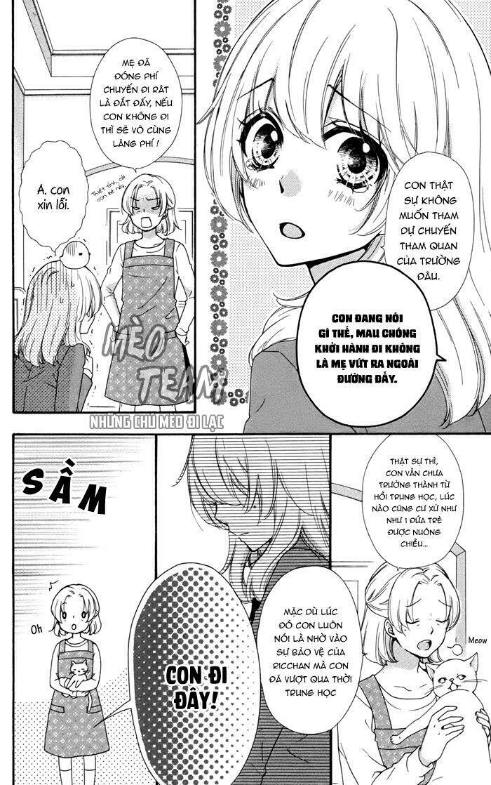 Tình Yêu Của Hiyo - Chapter 32 - Page 4