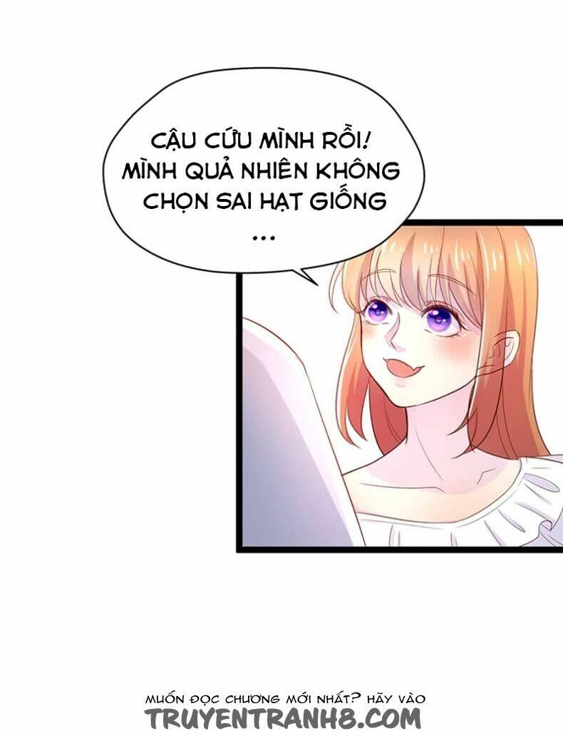 Lãnh Tình Boss Xin Buông Tay Em - Chapter 12 - Page 11