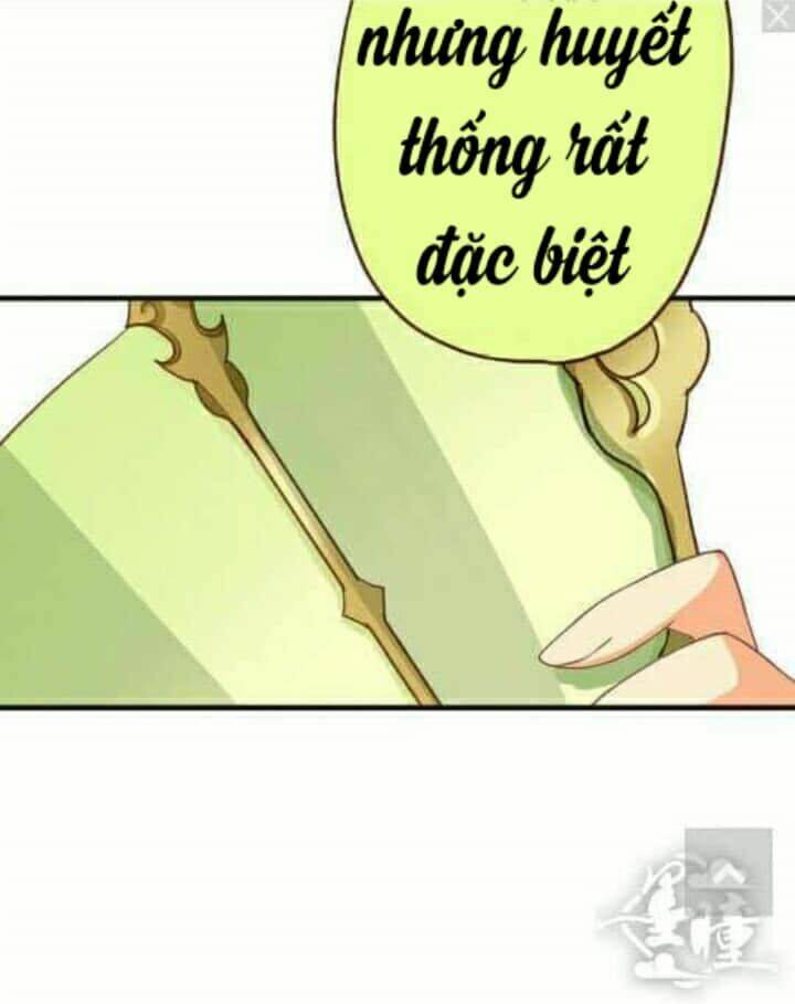 Tân Quang Thiên - Chapter 55 - Page 81