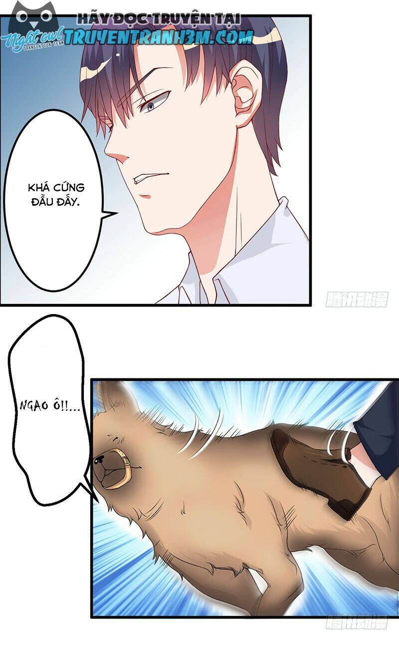 Trên Gối Của Chủ Tịch Ác Ma - Chapter 16 - Page 12