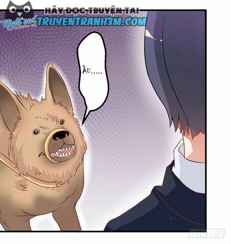 Trên Gối Của Chủ Tịch Ác Ma - Chapter 16 - Page 5