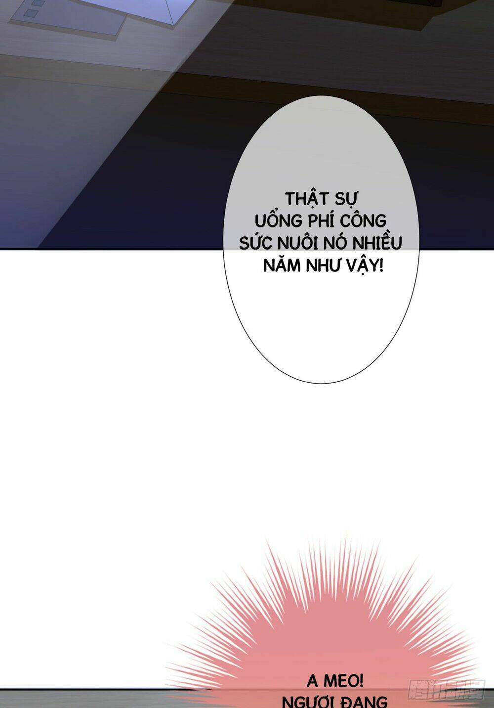 Miêu Hệ Giáo Thảo Độc Sủng Ái - Chapter 2 - Page 11