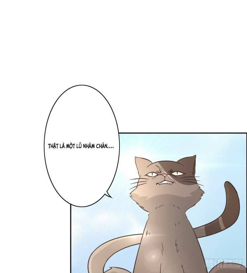 Song Miêu Đồ Đằng - Chapter 2 - Page 18