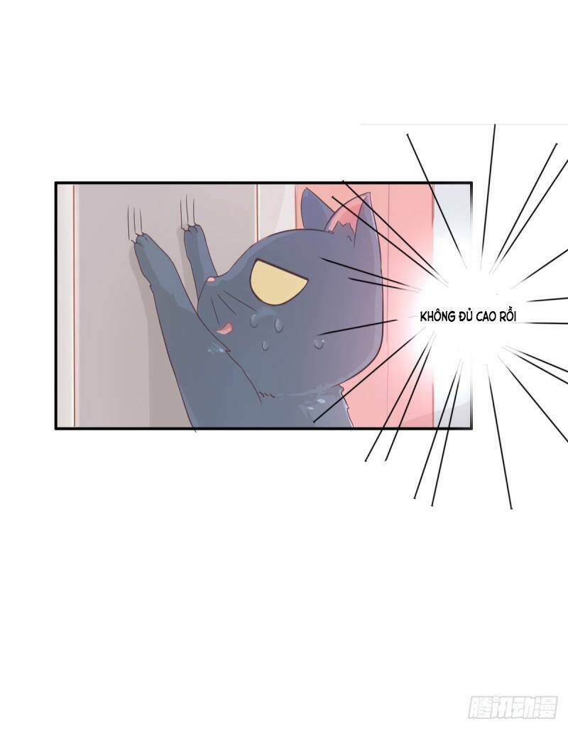 Song Miêu Đồ Đằng - Chapter 2 - Page 46