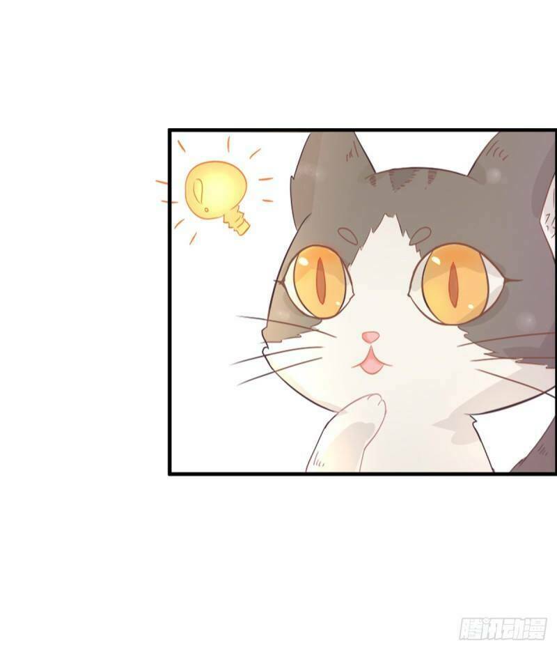 Song Miêu Đồ Đằng - Chapter 2 - Page 50