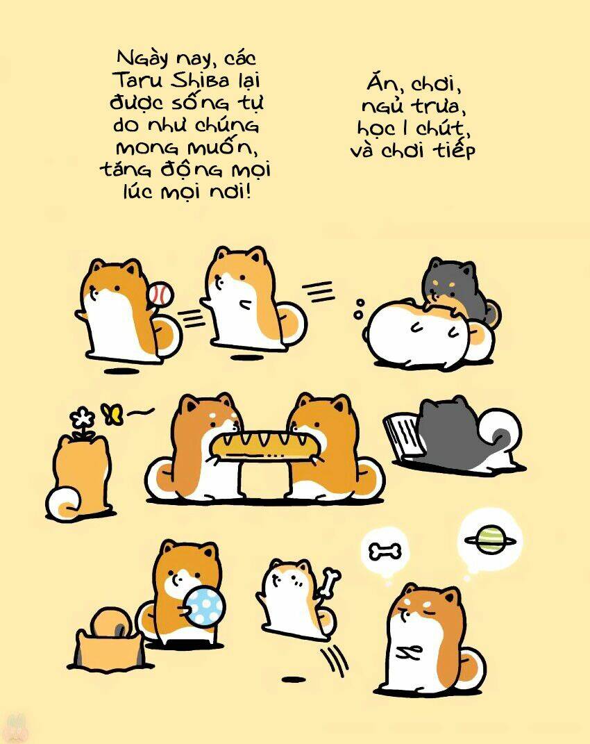 Taru Shiba - Chapter 9 - Page 7