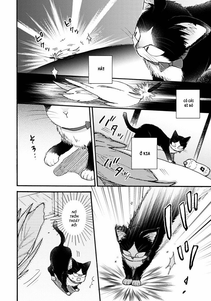  Doukyonin Wa Hiza, Tokidoki, Atama No Ue - Chapter 8.5 - Page 10