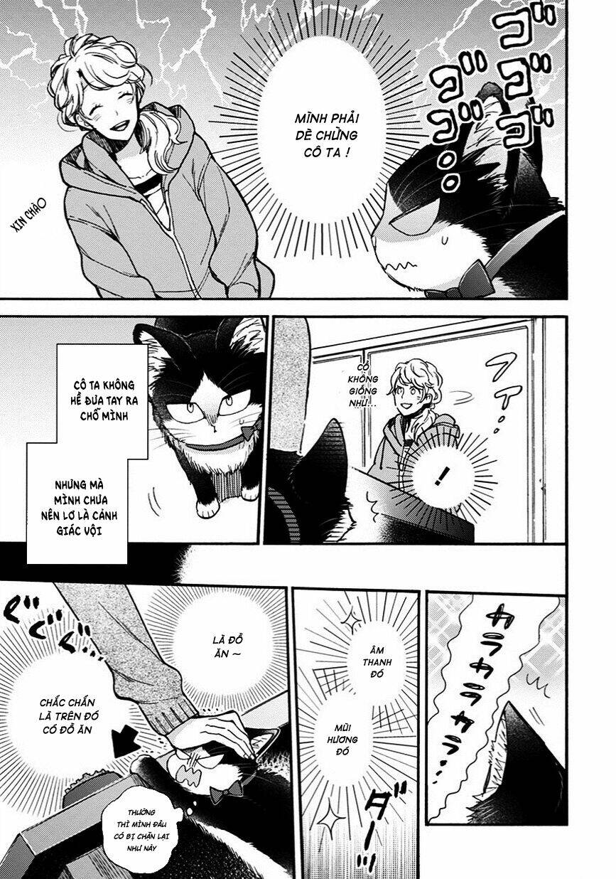  Doukyonin Wa Hiza, Tokidoki, Atama No Ue - Chapter 8.5 - Page 7