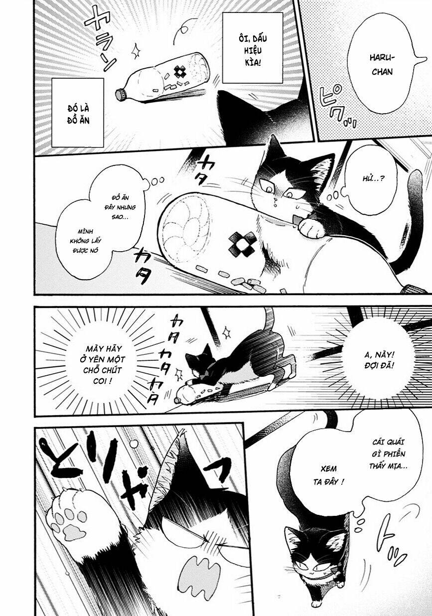  Doukyonin Wa Hiza, Tokidoki, Atama No Ue - Chapter 8.5 - Page 8