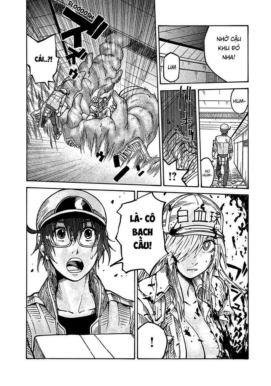 Biệt Đội Tế Bào Black - Hataraku Saibou Black - Chapter 10 - Page 32