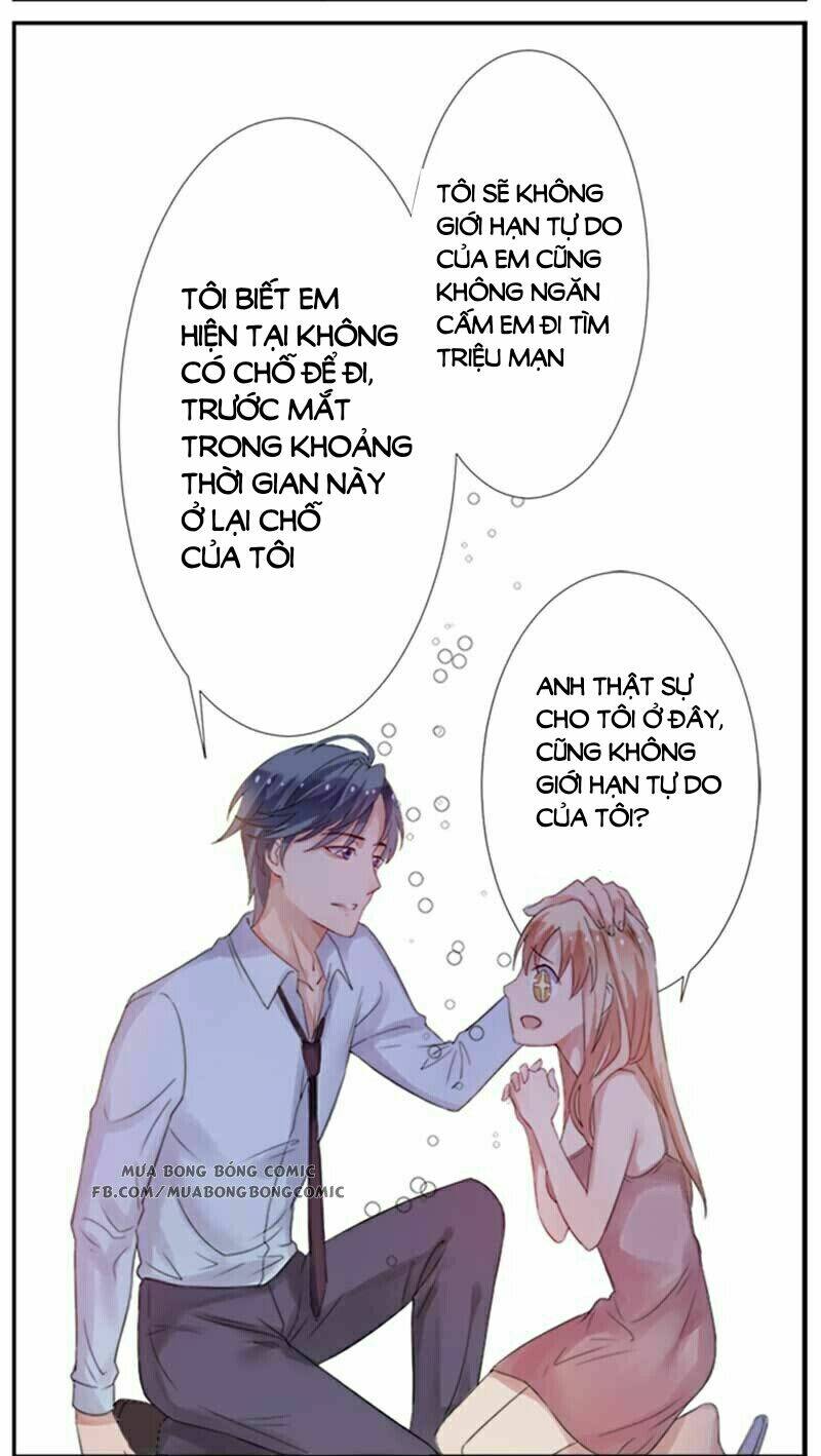 Nhập Cốt Noãn Hôn - Mật Sủng Tiểu Kiều Thê - Chapter 2 - Page 11