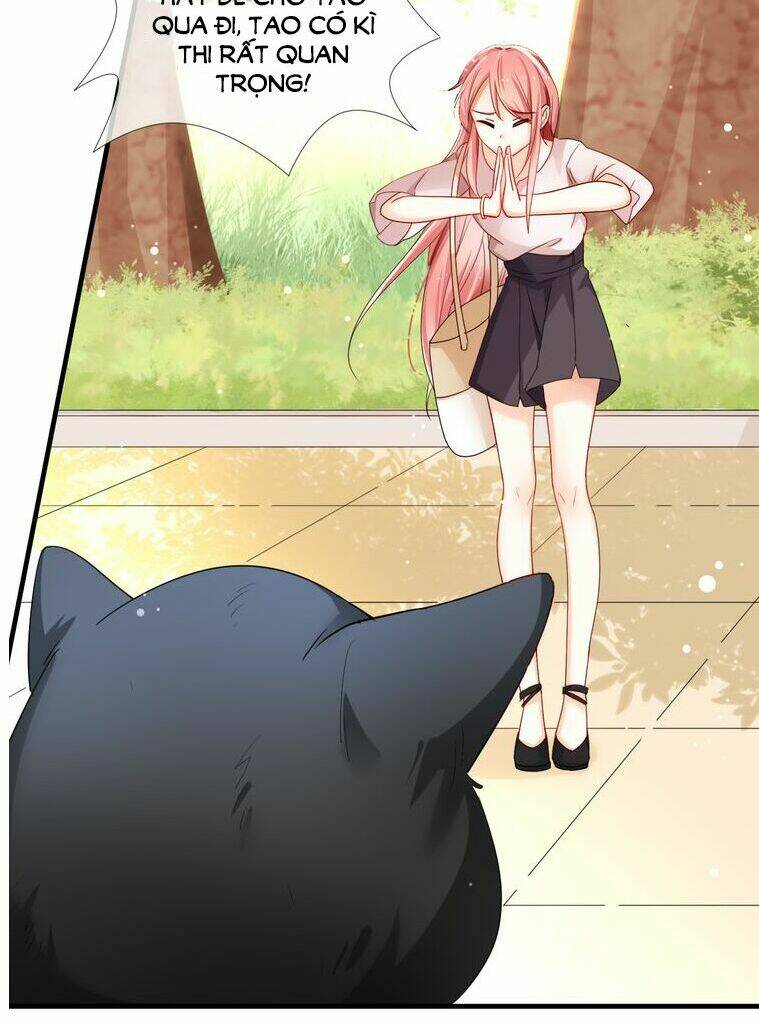 Sói và chỉ huy - Chapter 1 - Page 5