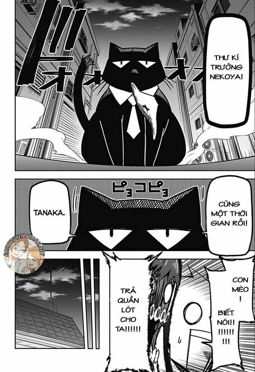 Secretary to the Managing President, General Time Industries, Seiji Tanaka Chapter 7 - Trang 12