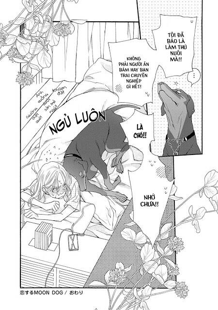 Koisuru Moon Dog - Chapter 1 - Page 47