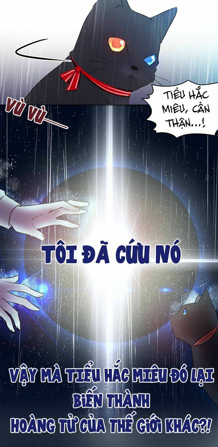 Miêu vương tử đích tân nương - Chapter 0.5 - Page 4