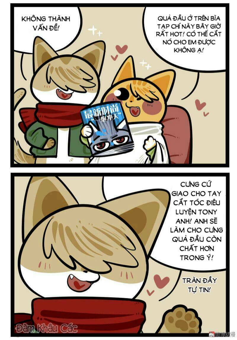 Đời Không Như Mình Tưởng - Chapter 66 - Page 3