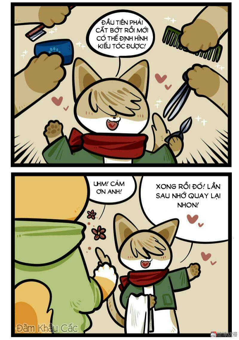 Đời Không Như Mình Tưởng - Chapter 66 - Page 4