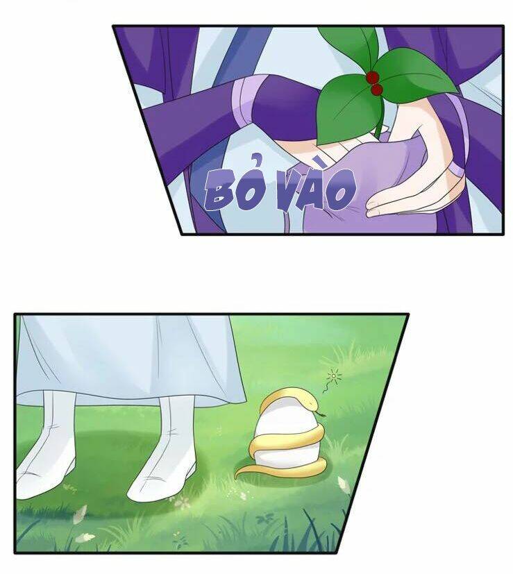 Phác Đảo Sư Tôn Đại Nhân - Chapter 17 - Page 21