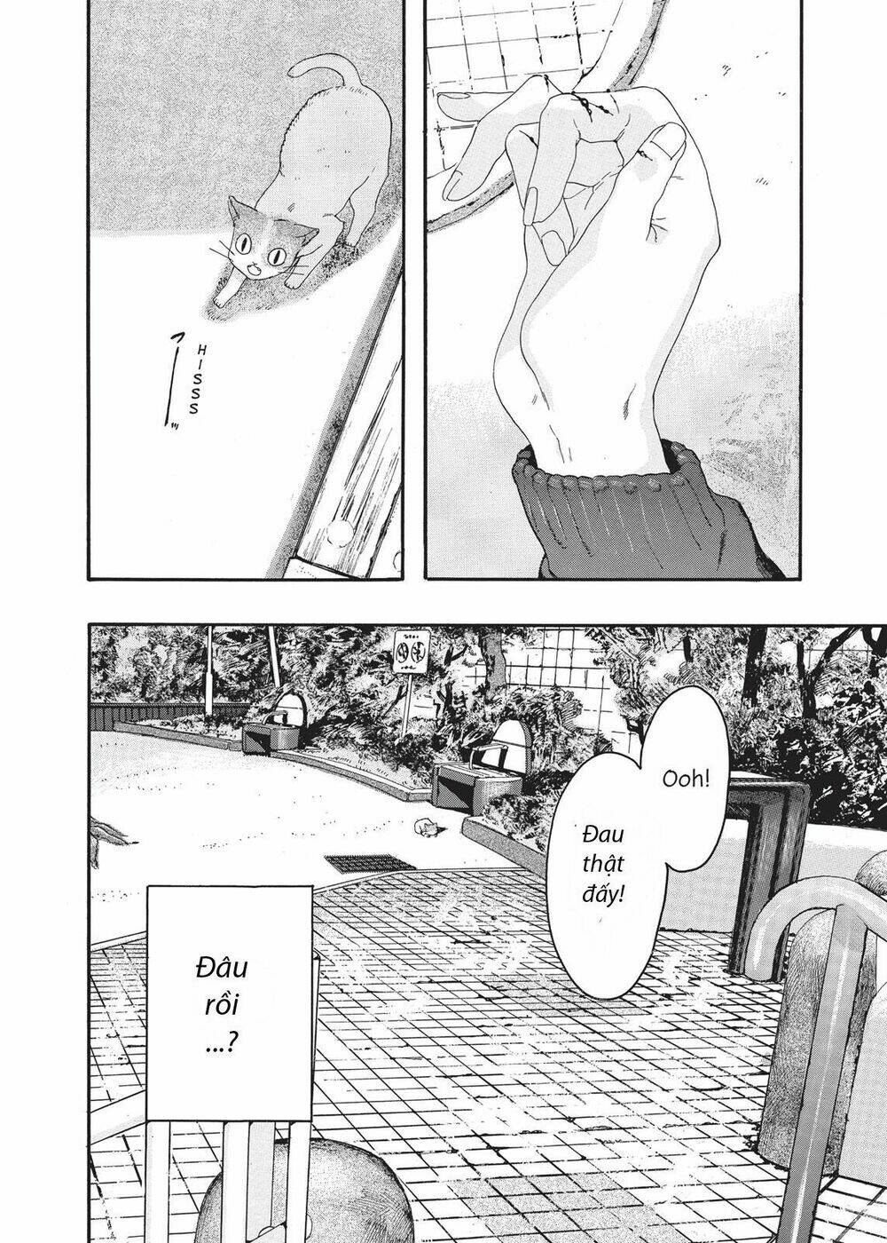 Chú Mèo Và Cô Chủ - Chapter 4 - Page 5